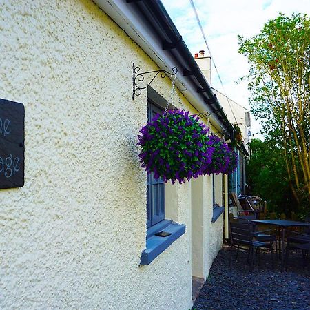 Staycation At Pine Cottage, A Newly Refurbished Holiday Cottage Goodwick 外观 照片